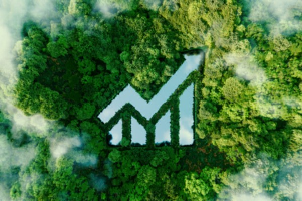艺术品投资有限公司起名（艺术品投资咨询公司）